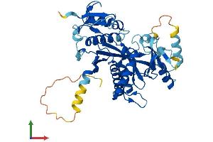 AlphaFold protein structure predicition of Mouse Recombinant Ttll1 Protein, UniprotID Q91V51