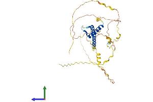 AlphaFold protein structure predicition of Mouse Recombinant Atoh1 Protein, UniprotID P48985