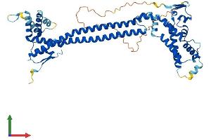 AlphaFold protein structure predicition of Human Recombinant CDK5RAP3 Protein, UniprotID Q96JB5