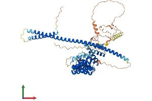 AlphaFold protein structure predicition of Human Recombinant KLC2 Protein, UniprotID Q9H0B6