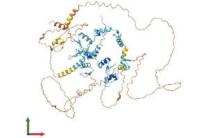 AlphaFold protein structure predicition of Human Recombinant ZNF770 Protein, UniprotID Q6IQ21