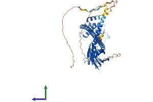 AlphaFold protein structure predicition of Human Recombinant ACBD3 Protein, UniprotID Q9H3P7