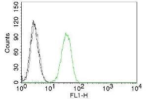Flow Cytometry of human CD31 on Jurkat cells.