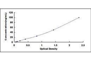 ELISA image for Histone Deacetylase 2 (HDAC2) ELISA Kit (ABIN432612)