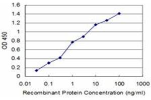 Detection limit for recombinant GST tagged USF2 is approximately 0. (USF2 anticorps  (AA 1-100))
