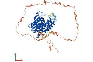 AlphaFold protein structure predicition of Mouse Recombinant Pced1a Protein, UniprotID Q6P1Z5