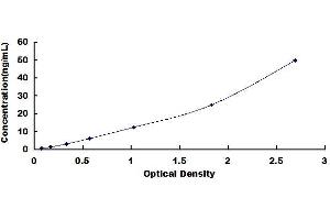 Typical standard curve (CAPN1 Kit ELISA)