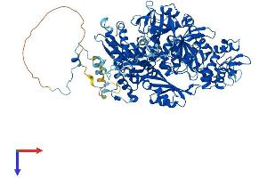 AlphaFold protein structure predicition of Human Recombinant EFTUD2 Protein, UniprotID Q15029