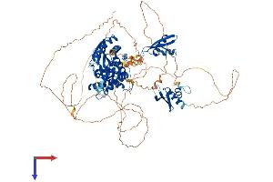 AlphaFold protein structure predicition of Human Recombinant ILF3 Protein, UniprotID Q12906