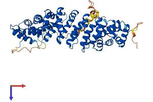 AlphaFold protein structure predicition of Mouse Recombinant Kpna7 Protein, UniprotID C0LLJ0