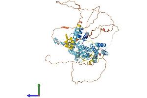 AlphaFold protein structure predicition of Mouse Recombinant Taf6 Protein, UniprotID Q62311