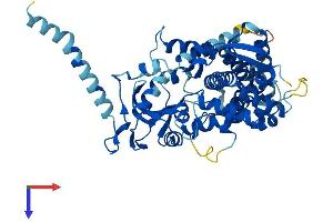 AlphaFold protein structure predicition of Mouse Recombinant Cyp26a1 Protein, UniprotID O55127
