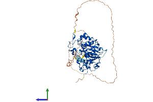 AlphaFold protein structure predicition of Mouse Recombinant St6galnac1 Protein, UniprotID Q9QZ39