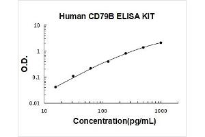 CD79b Molecule, Immunoglobulin-Associated beta (CD79B) ELISA Kit