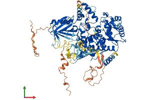 AlphaFold protein structure predicition of Mouse Recombinant Mtmr10 Protein, UniprotID Q7TPM9
