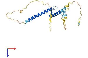 AlphaFold protein structure predicition of Human Recombinant TCF15 Protein, UniprotID Q12870
