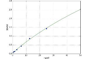 Janus Kinase 3 (JAK3) ELISA Kit
