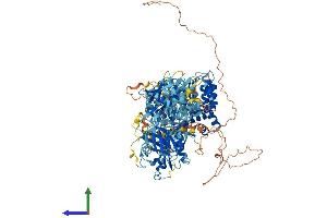 AlphaFold protein structure predicition of Mouse Recombinant Nlrp1b Protein, UniprotID Q2LKW6