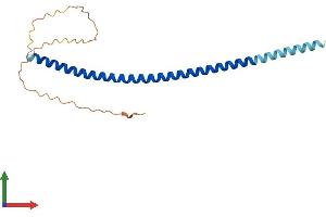 AlphaFold protein structure predicition of Human Recombinant NUP62CL Protein, UniprotID Q9H1M0