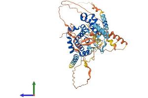 AlphaFold protein structure predicition of Human Recombinant TBC1D3F Protein, UniprotID A6NER0