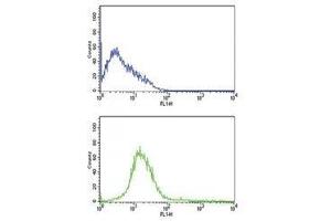 CD31 antibody flow cytometric analysis of HL-60 cells (bottom histogram) compared to a negative control cell (top histogram).