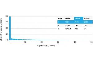 Analysis of Protein Array containing more than 19,000 full-length human proteins using TCL1 Mouse Monoclonal Antibody (TCL1/2078).