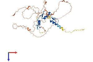 AlphaFold protein structure predicition of Mouse Recombinant Egr3 Protein, UniprotID P43300