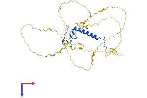 AlphaFold protein structure predicition of Mouse Recombinant Cdkn1c Protein, UniprotID P49919