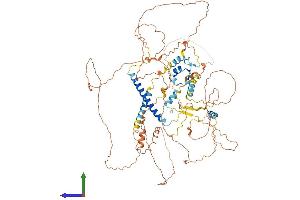 AlphaFold protein structure predicition of Human Recombinant ZBBX Protein, UniprotID A8MT70
