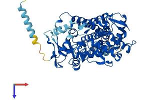 AlphaFold protein structure predicition of Mouse Recombinant Cyp2b19 Protein, UniprotID O55071