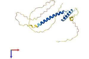 AlphaFold protein structure predicition of Mouse Recombinant Msc Protein, UniprotID O88940