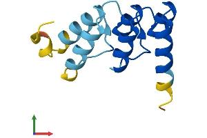 AlphaFold protein structure predicition of Mouse Recombinant Nrarp Protein, UniprotID Q91ZA8