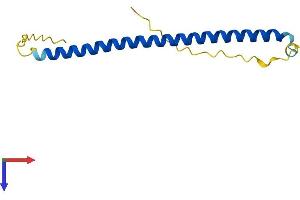 AlphaFold protein structure predicition of Mouse Recombinant Batf Protein, UniprotID O35284