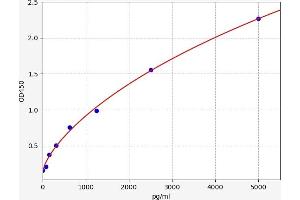 Typical standard curve (VEGFR2/CD309 Kit ELISA)