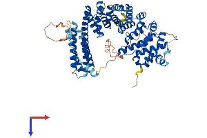 AlphaFold protein structure predicition of Human Recombinant INSC Protein, UniprotID Q1MX18