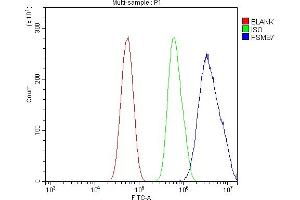 Flow Cytometry analysis of U87 cells using anti-Proteasome 20S Beta 7/PSMB7 antibody (ABIN7600256).