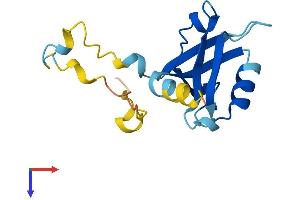AlphaFold protein structure predicition of Human Recombinant PDZD11 Protein, UniprotID Q5EBL8