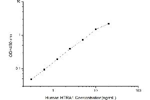 Typical standard curve (HTRA1 Kit ELISA)