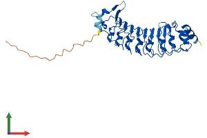 AlphaFold protein structure predicition of Mouse Recombinant Lrrc30 Protein, UniprotID Q3UV48