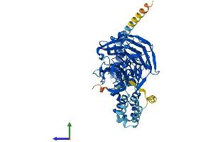 AlphaFold protein structure predicition of Mouse Recombinant Klhl7 Protein, UniprotID Q8BUL5
