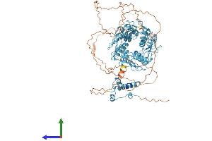 AlphaFold protein structure predicition of Human Recombinant ZNF33A Protein, UniprotID Q06730
