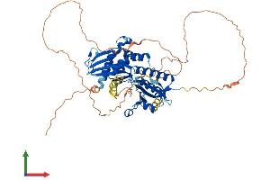 AlphaFold protein structure predicition of Human Recombinant PIP5K1B Protein, UniprotID O14986
