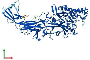 AlphaFold protein structure predicition of Mouse Recombinant Padi1 Protein, UniprotID Q9Z185