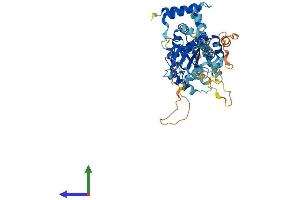 AlphaFold protein structure predicition of Human Recombinant TIGD4 Protein, UniprotID Q8IY51