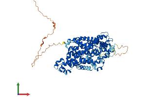 AlphaFold protein structure predicition of Human Recombinant SLC6A3 Protein, UniprotID Q01959