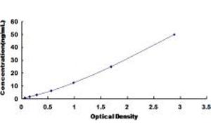 Typical standard curve (MC5 Receptor Kit ELISA)
