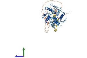 AlphaFold protein structure predicition of Human Recombinant ZNF154 Protein, UniprotID Q13106