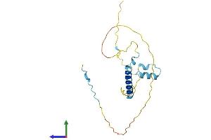 AlphaFold protein structure predicition of Human Recombinant SMAP Protein, UniprotID O00193