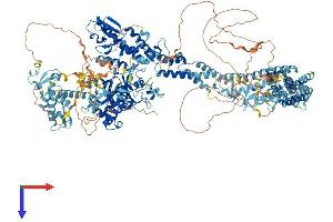 AlphaFold protein structure predicition of Mouse Recombinant Kdm5b Protein, UniprotID Q80Y84
