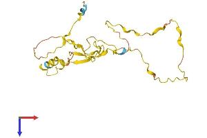 AlphaFold protein structure predicition of Human Recombinant CDIP1 Protein, UniprotID Q9H305